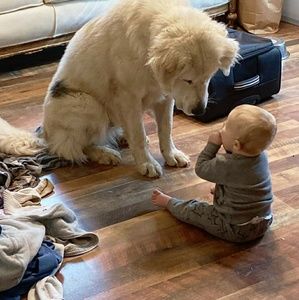 Meet your Posher, Denise